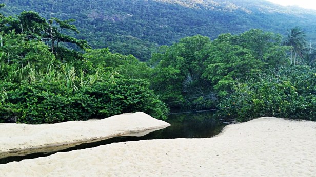 Wyspa Ilha Grande